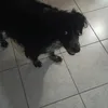 matteo_12574