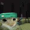 oblend_2137