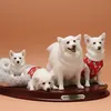 whitefurries