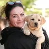 labrador_shani