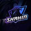 shahin_shahin_22