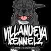 orlandovillanueva47