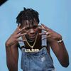 naniboy099