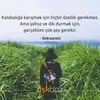 karagul_03