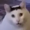 callmeoceanasmynamemeans