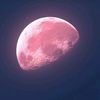 marion_1214