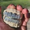 rickgsgrillz