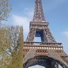phan_517