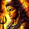 aayush7158