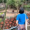 y_phicha