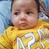 alfalik1