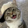 this_isfrancis