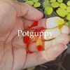 Potguppy