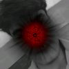 liwana_typist_33