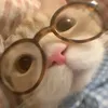 pattrickstarret