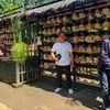 aerlangga26_