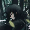 lilicoris