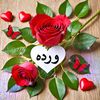 user1058012936098