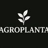 agronom_82