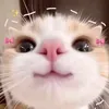 ._.sophia_cutee._.1