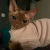 kirschkatzchen_