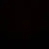 lapo_griffo