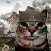 kotecek96