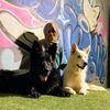 xdogschool_fans