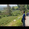 rafhiindira01