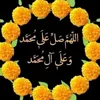 🌺🌺 نور الايمان🌺🌺