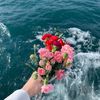 raneem1354