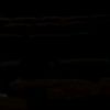 zahraa_shkierr
