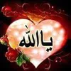 zozo_msms3