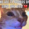 mrpecan03
