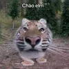 hoangtuvacongchua6