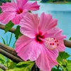 mariarodrigues352029c