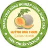 vinh_melon
