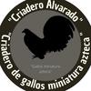 criadero_alvarado