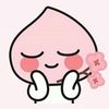 vely.kong