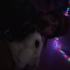 bobby_joe_83