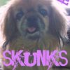 the.purple.skunks