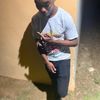 tyro138