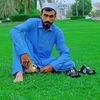 pxhabib204