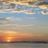 roberttang91