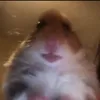 rexssslemexx