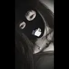 nn_anh.28