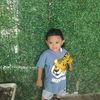 user8401293218027