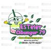 estelercibungur79