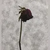 susantisusi98