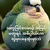 user4028412465093